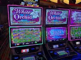 Panduan responsible gaming dan perlindungan privasi pengguna dewasa siagus88 Indonesia